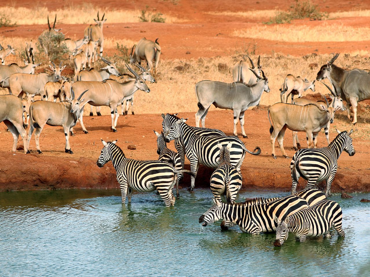 NezaClub Rwanda: Nairobi & Tsavo National Park Safari Holiday