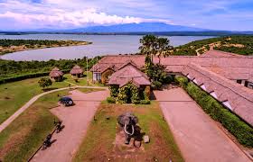 NezaClub Queen Elizabeth Christmas Experience