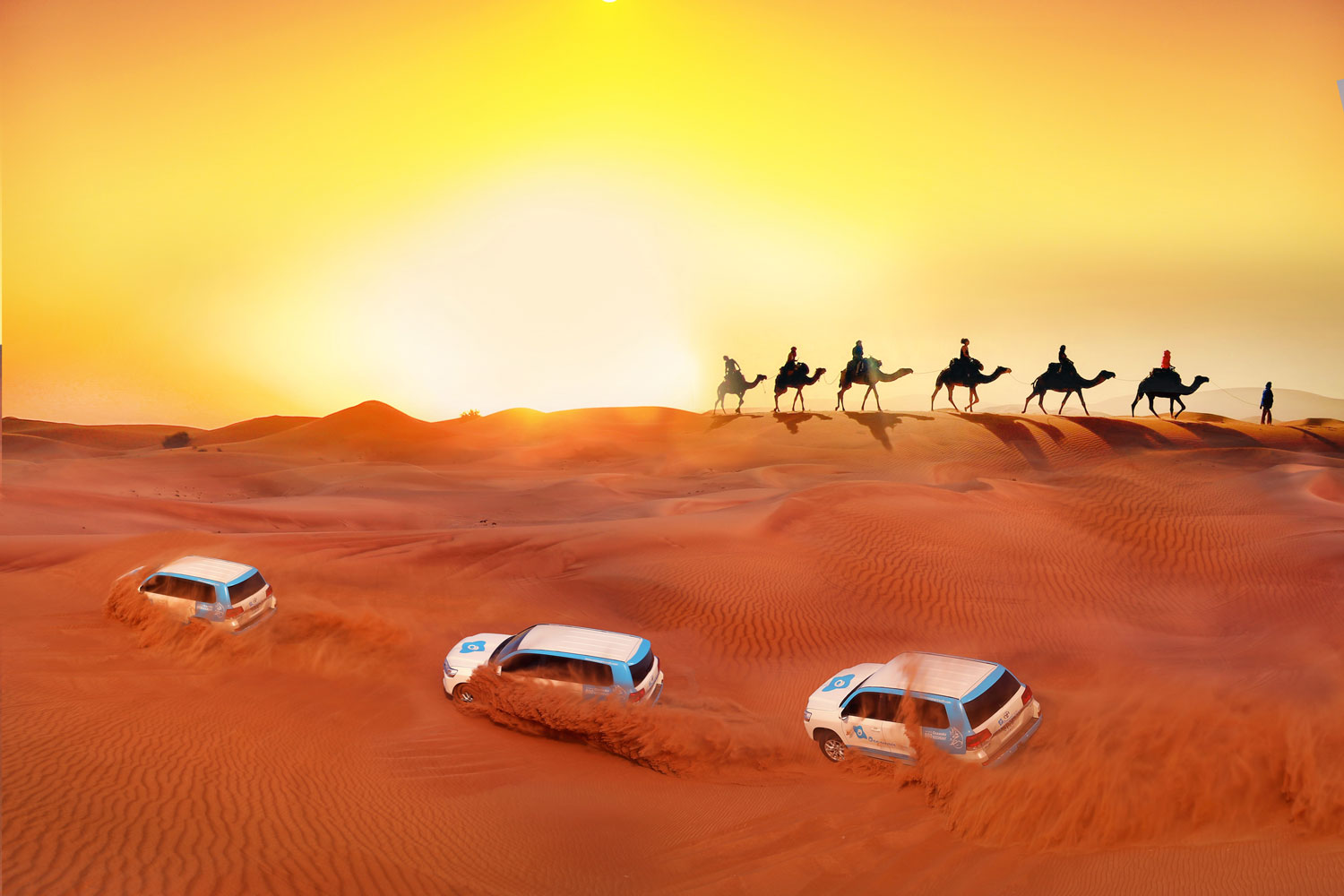 Neza Connect: World Government summit - Dubai